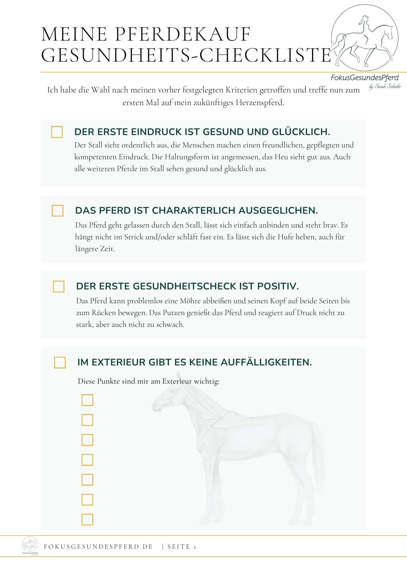 Checkliste Pferdekauf PDF