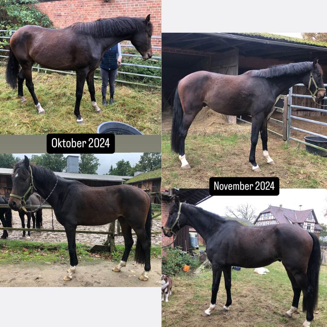 Romeo Transformation