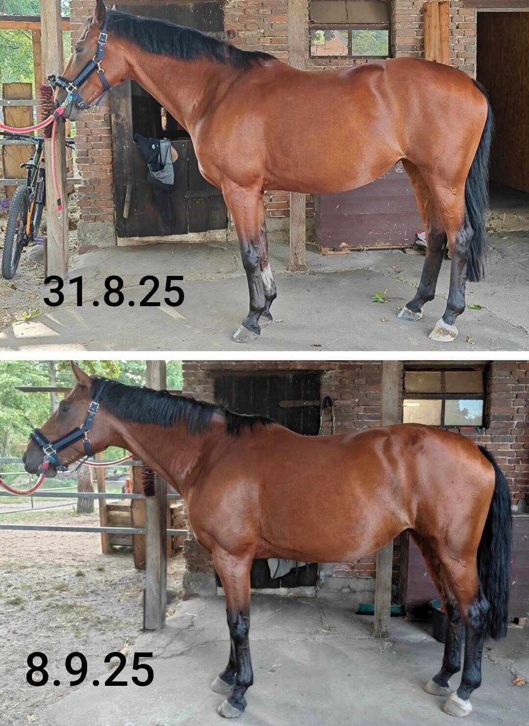 4BED630F-2926-4214-A108-DB0A928F79DF