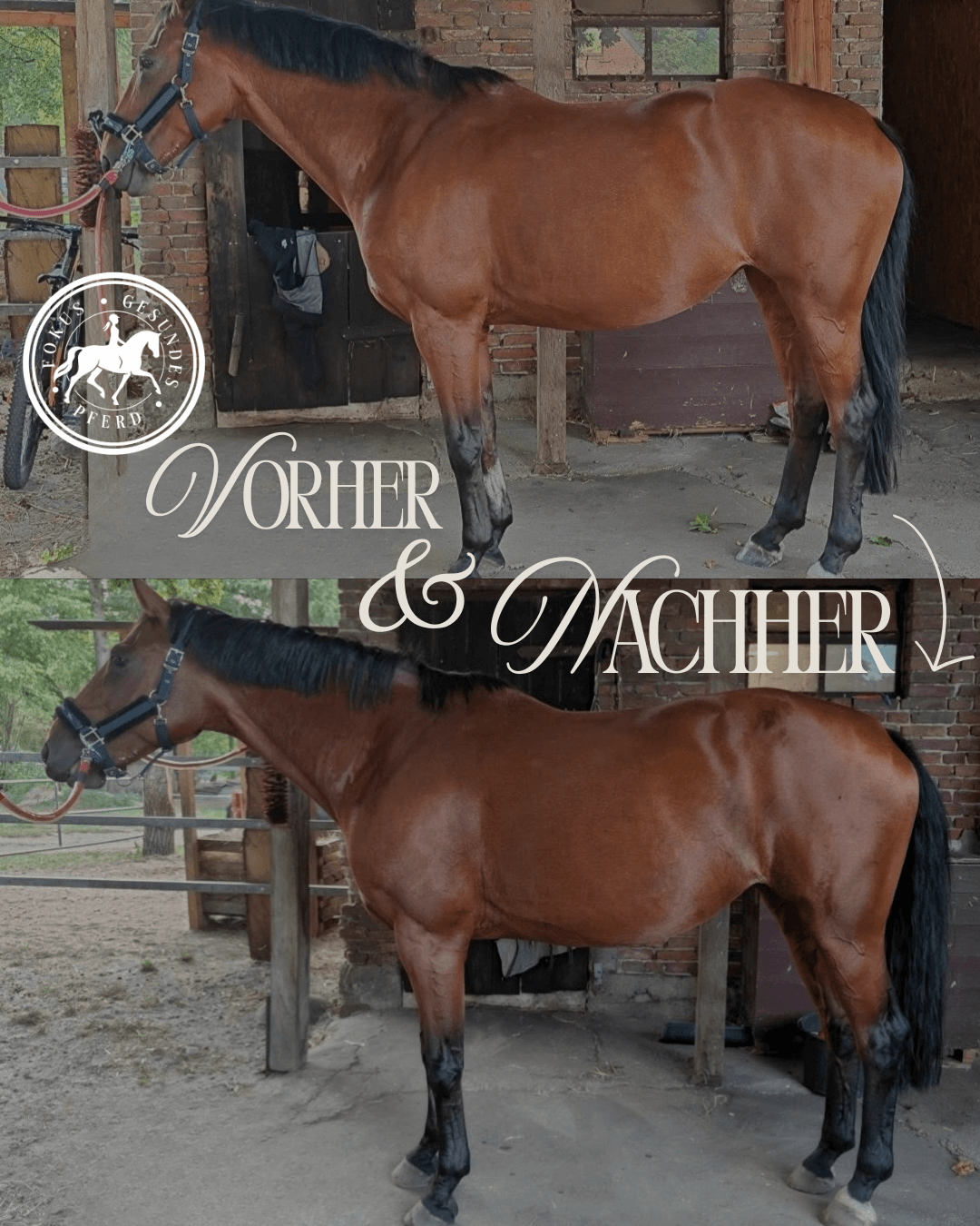 Vorher-Nachher-Fotos Sabrina
